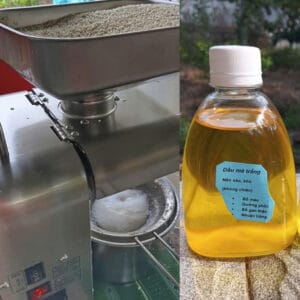Dầu mè dầu vừng nguyên chất