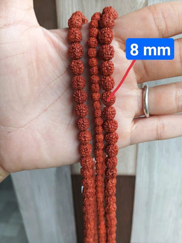 Rudraksha Sadhguru