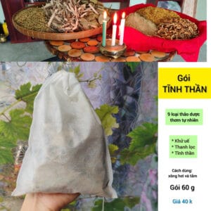 Túi Tĩnh thần