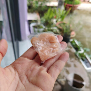 Gói thoa ghẻ, nước ăn chân và các bệnh ngoài da, mua vừa đủ thôi vì em không có nhiều